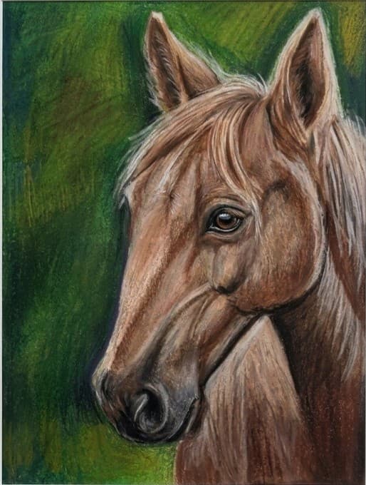 Horse Portrait